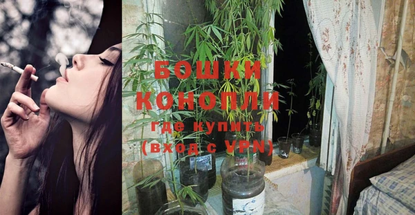 крисы Наволоки