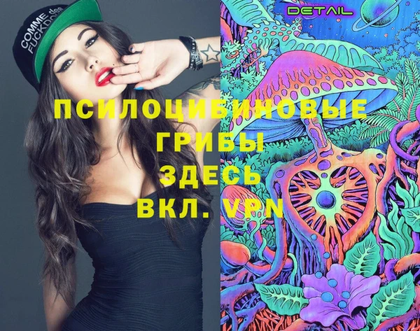 молекула духа Надым