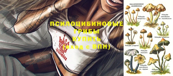 крисы Наволоки