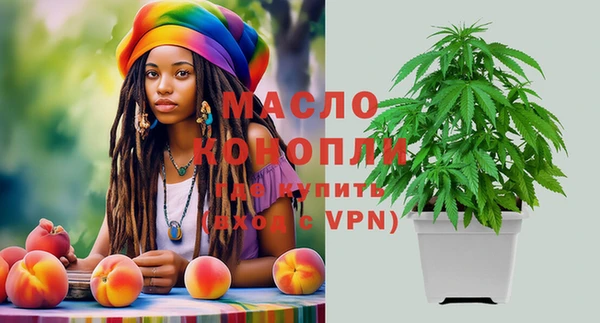 молекула духа Надым